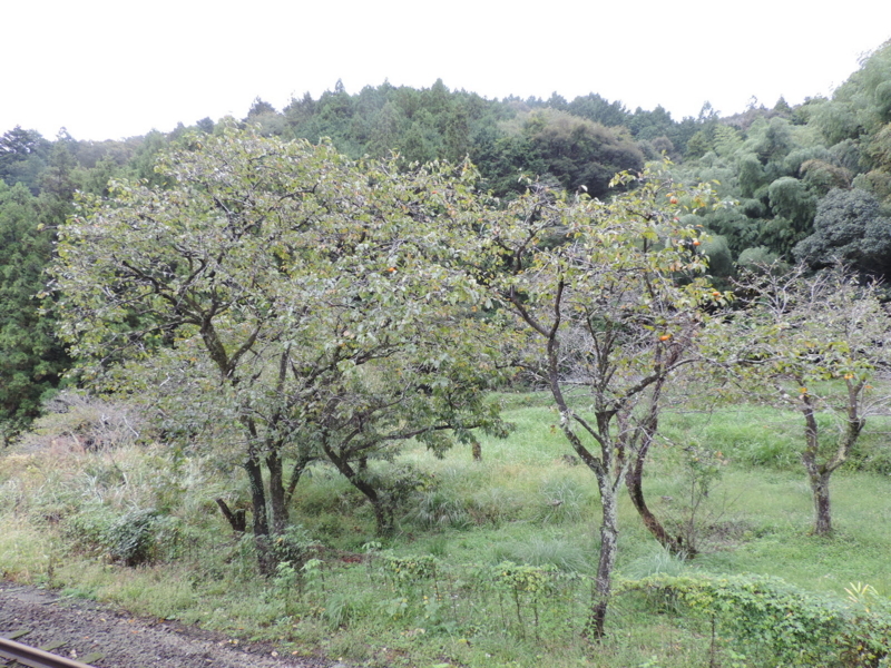 f:id:minato920:20171017120352j:plain