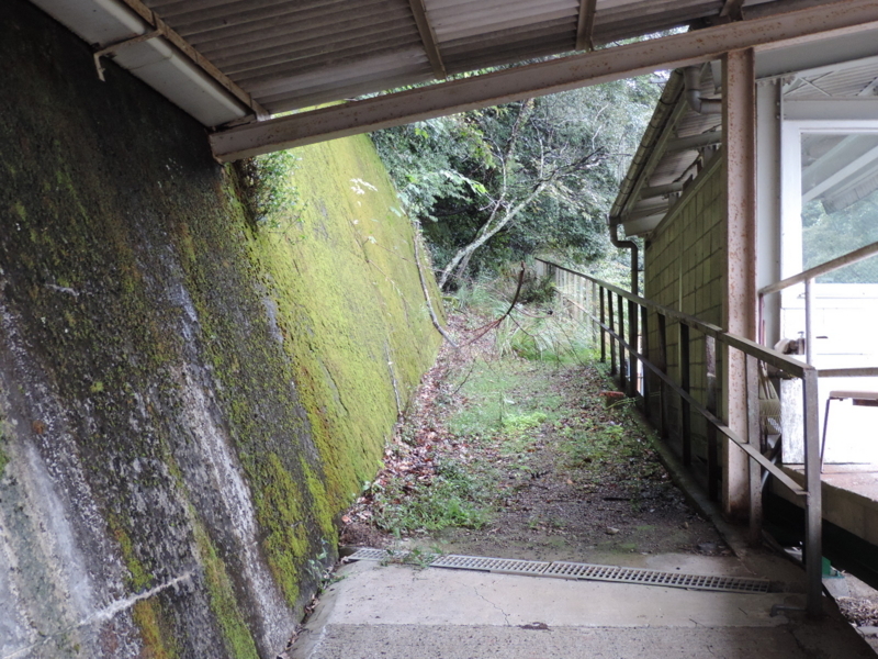 f:id:minato920:20171028211418j:plain f:id:minato920:20171028211418j:plain