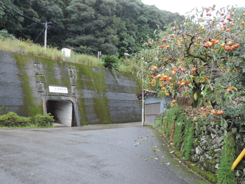 f:id:minato920:20171028211427j:plain f:id:minato920:20171028211427j:plain