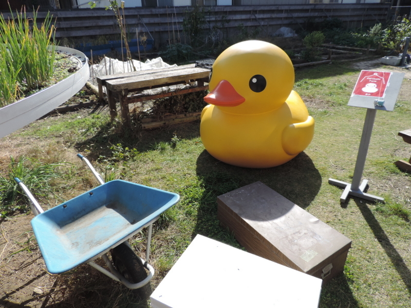 f:id:minato920:20171114191302j:plain