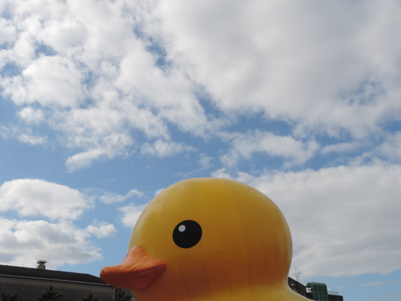 f:id:minato920:20171114191324j:plain