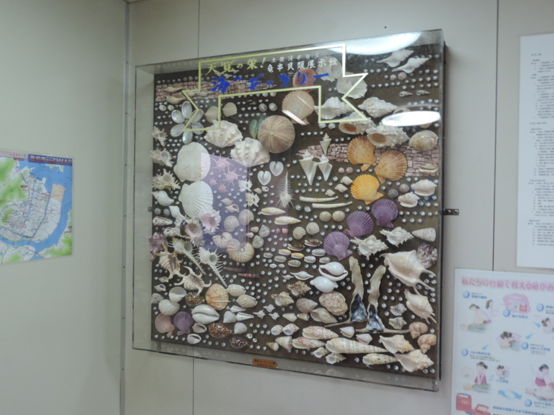 f:id:minato920:20180107192741j:plain