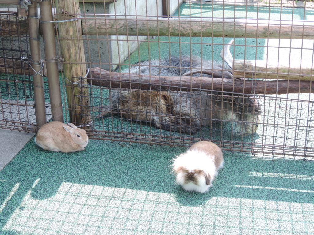 f:id:minato920:20180206094123j:plain