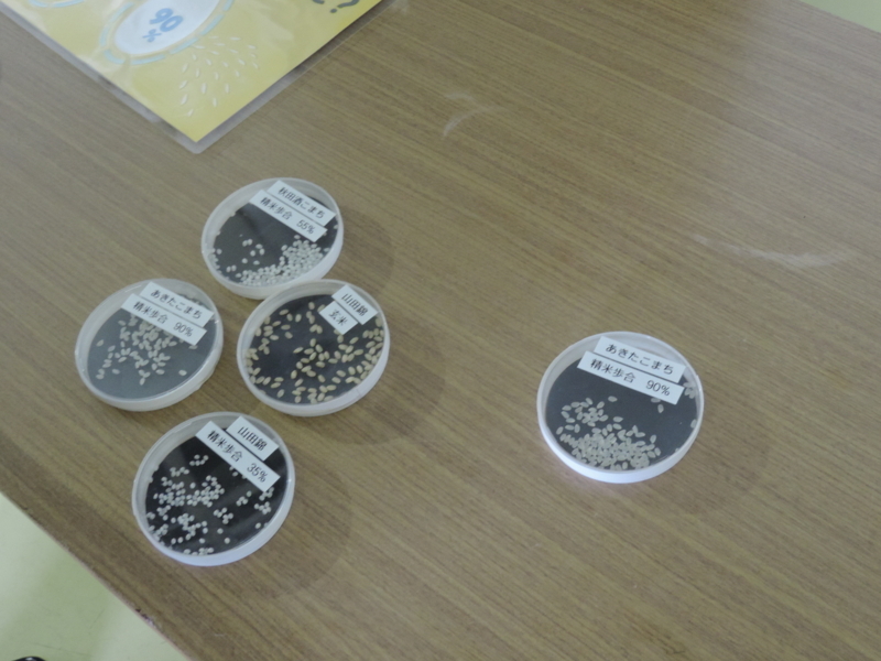 f:id:minato920:20180218205350j:plain f:id:minato920:20180218205350j:plain