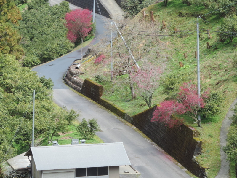 f:id:minato920:20180325073808j:plain