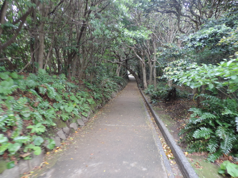 f:id:minato920:20180508062045j:plain f:id:minato920:20180508062045j:plain