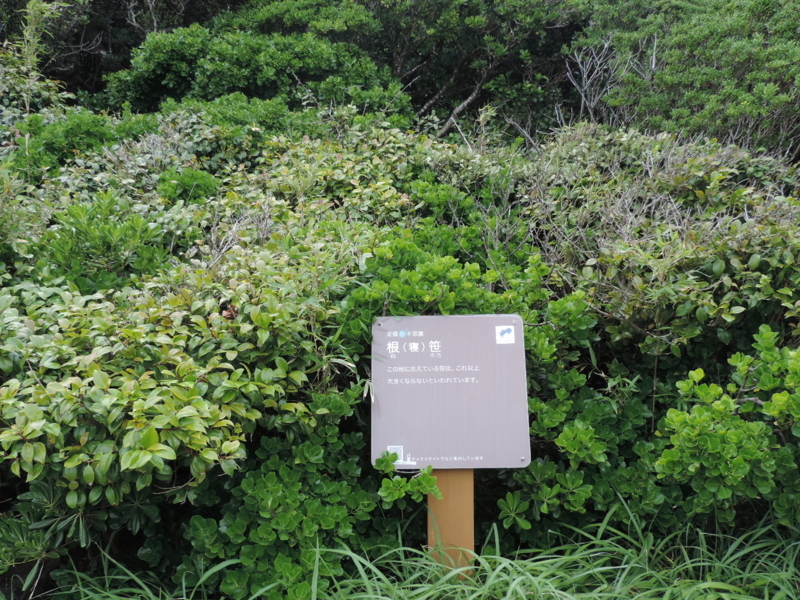 f:id:minato920:20180508193759j:plain