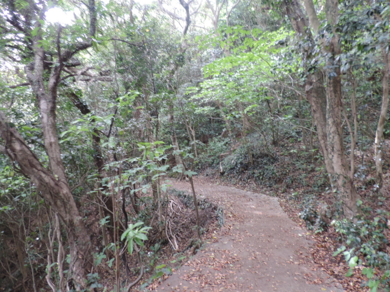 f:id:minato920:20180508193807j:plain