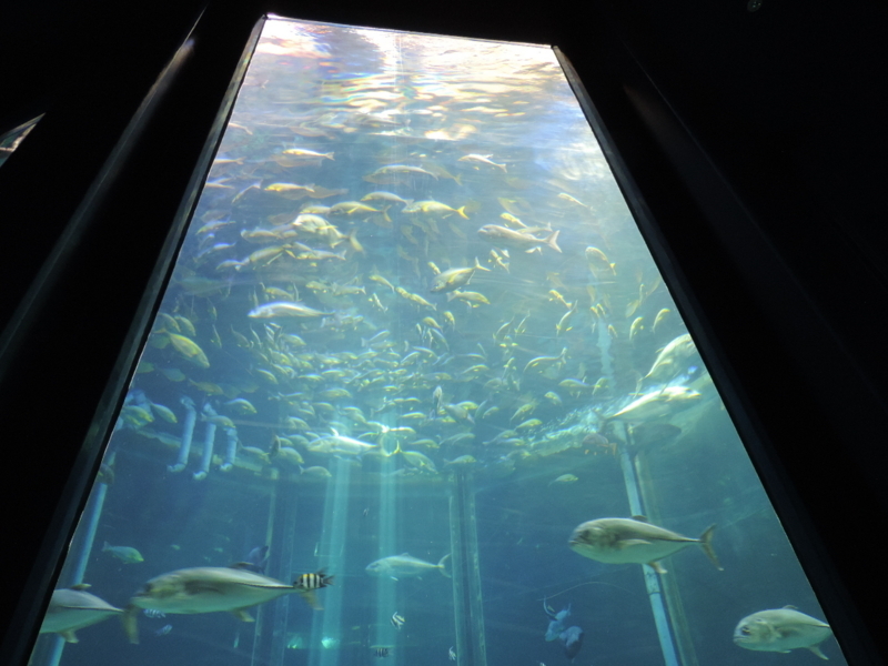 f:id:minato920:20180516223844j:plain