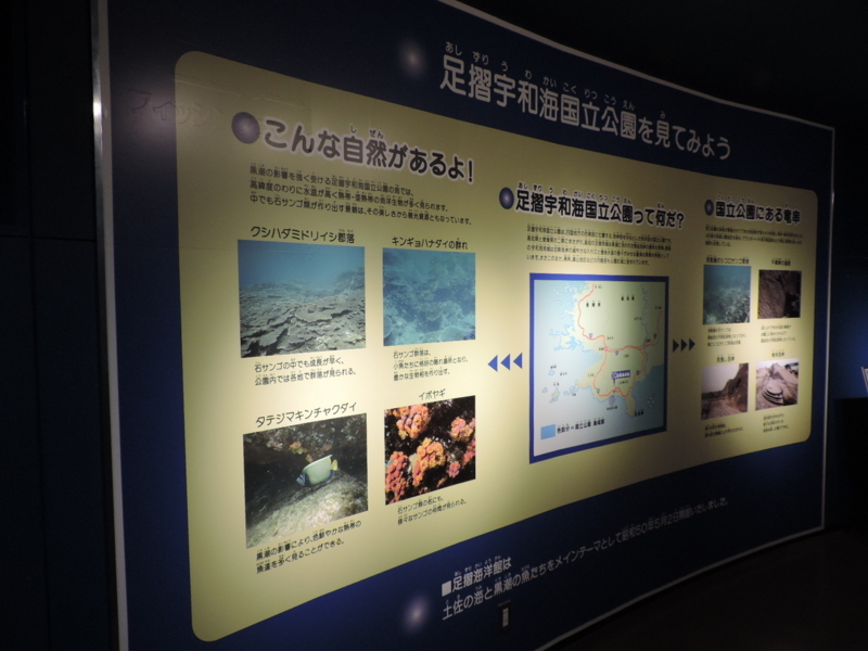 f:id:minato920:20180516223846j:plain