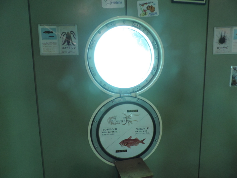 f:id:minato920:20180516223907j:plain