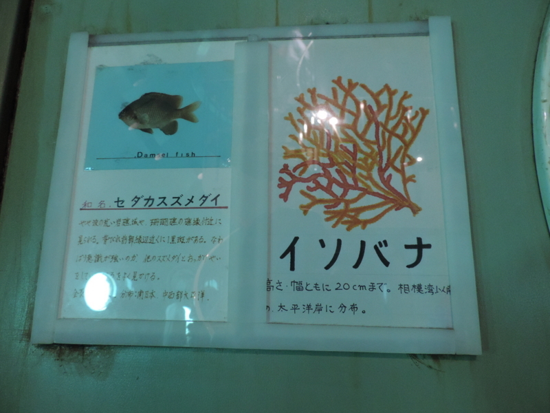 f:id:minato920:20180516223916j:plain