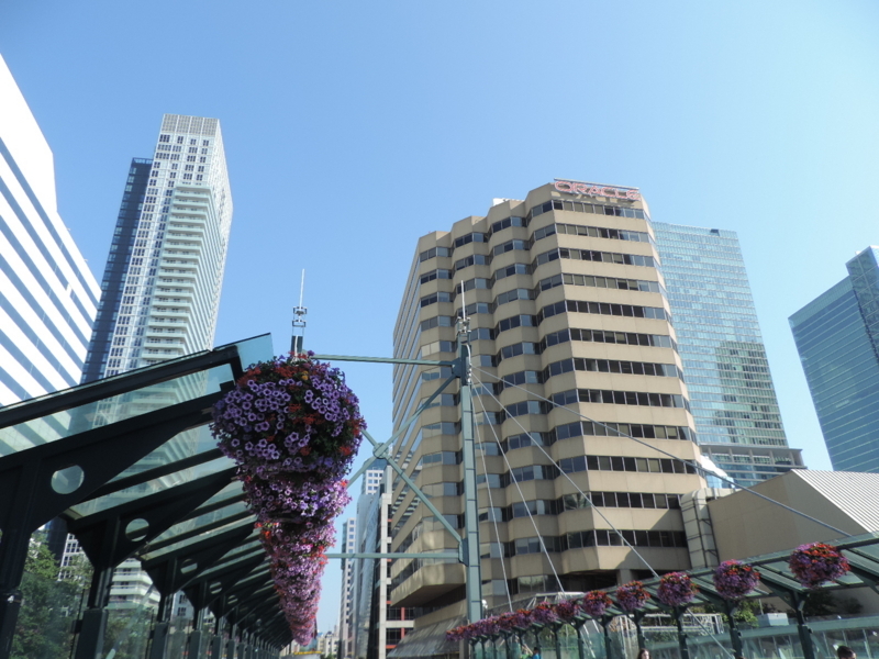 f:id:minato920:20180729094237j:plain