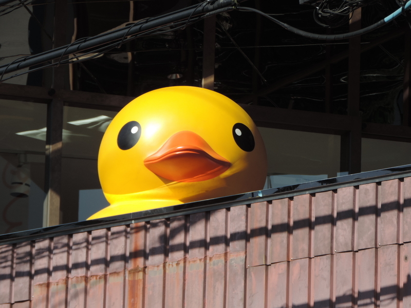 f:id:minato920:20181112072222j:plain