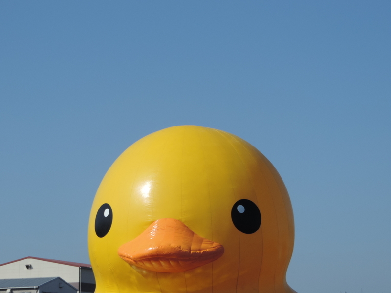 f:id:minato920:20181112072532j:plain