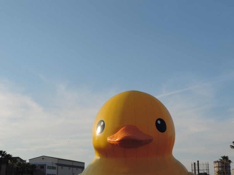 f:id:minato920:20181125090414j:plain