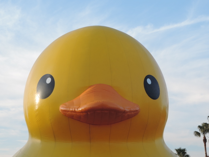 f:id:minato920:20181125090537j:plain