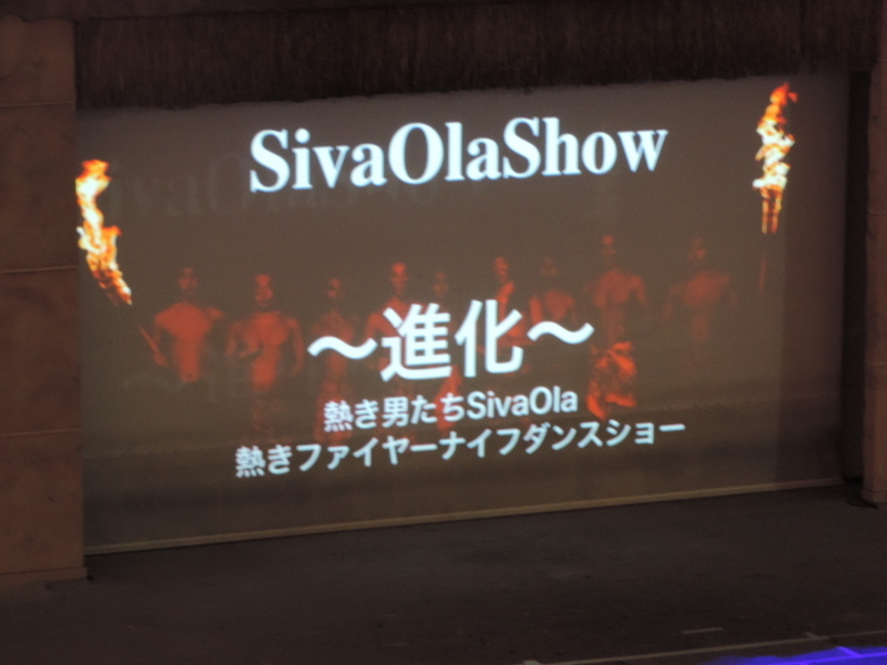 f:id:minato920:20190406153654j:plain