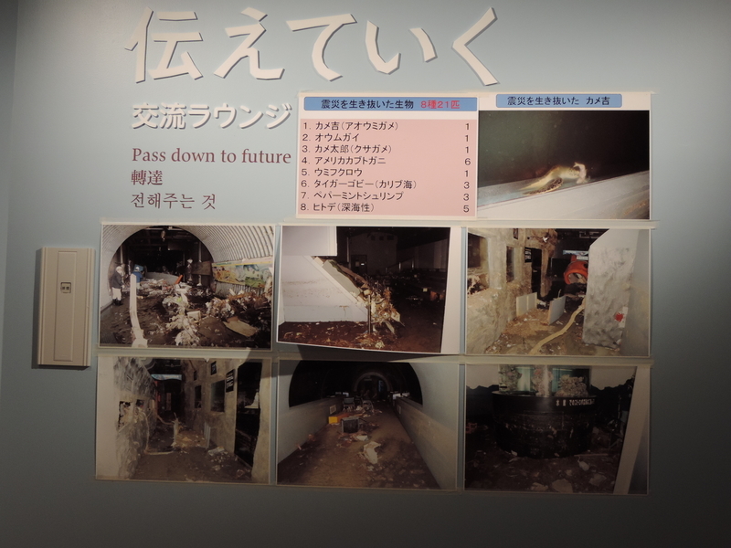 f:id:minato920:20190430132223j:plain