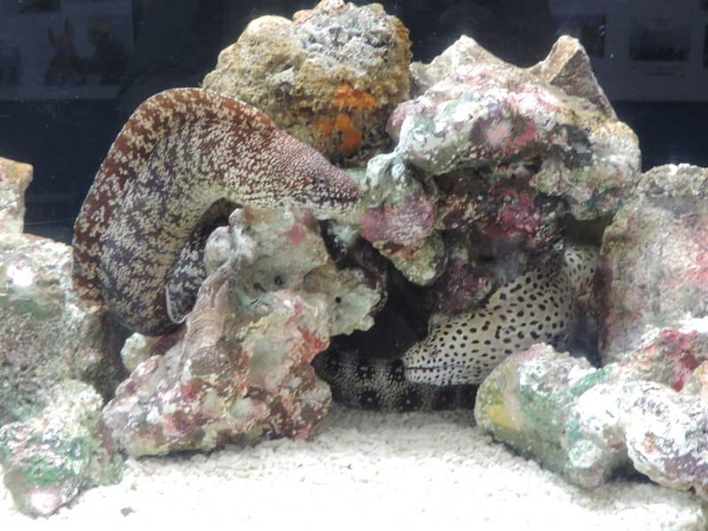 f:id:minato920:20190430132413j:plain