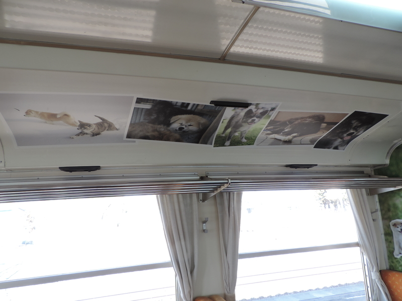 f:id:minato920:20190430142652j:plain