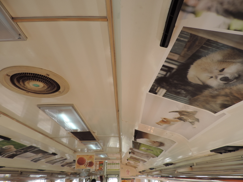 f:id:minato920:20190430143129j:plain