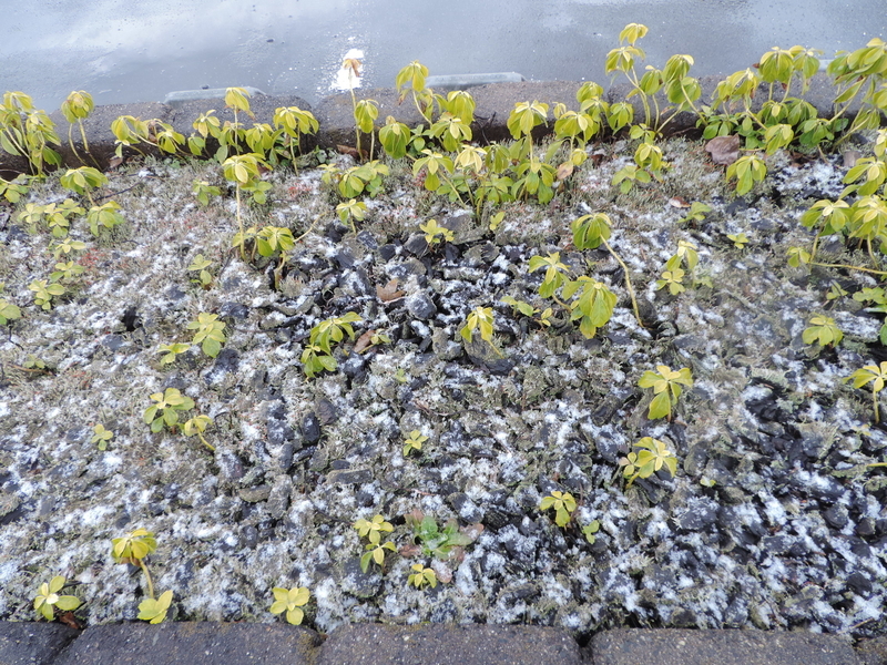 f:id:minato920:20190430152300j:plain