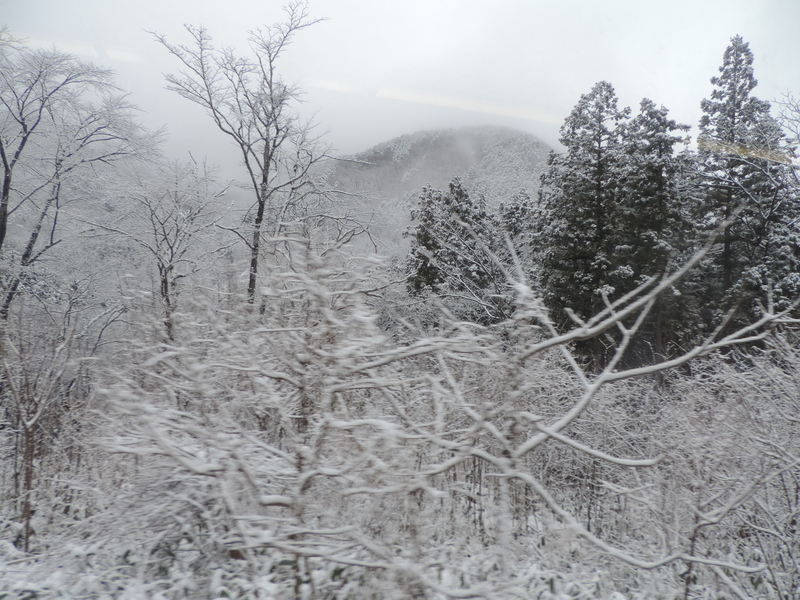 f:id:minato920:20190430152807j:plain