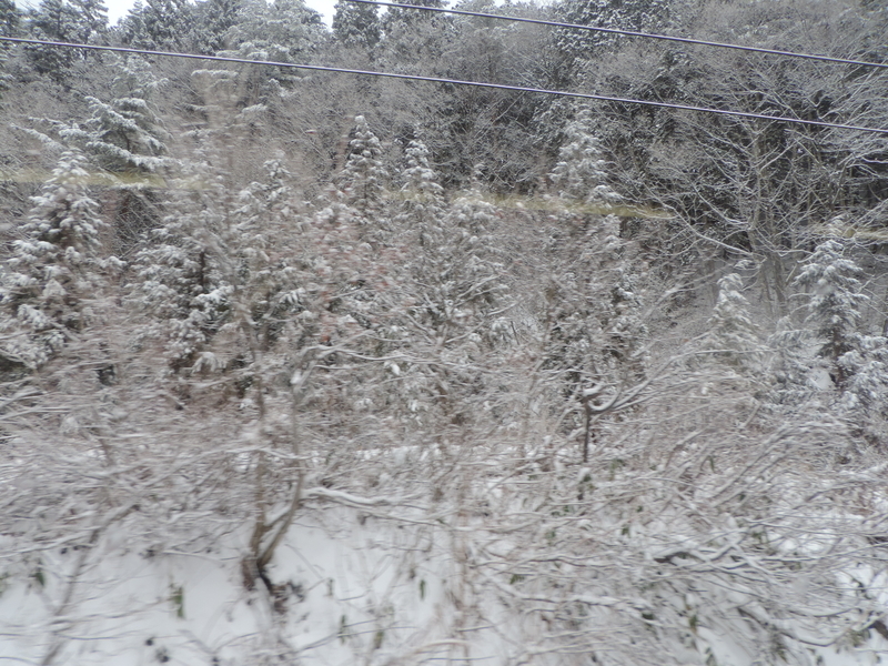 f:id:minato920:20190430152817j:plain