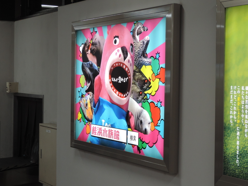 f:id:minato920:20190430153333j:plain