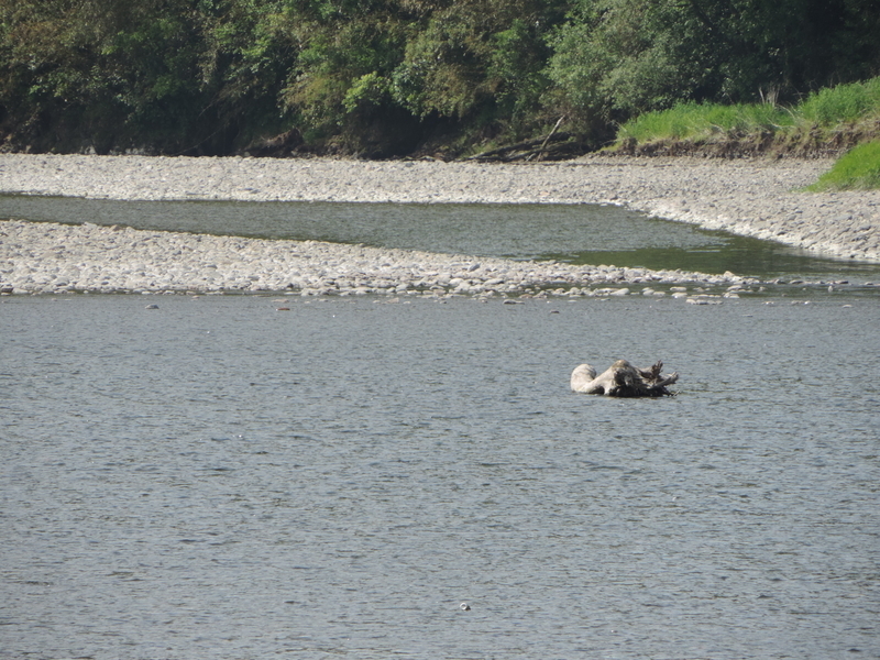 f:id:minato920:20190625234643j:plain