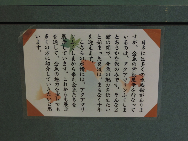 f:id:minato920:20190626073343j:plain