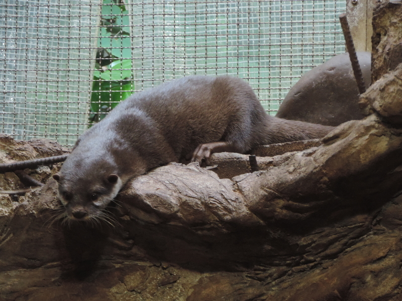 f:id:minato920:20190626073421j:plain