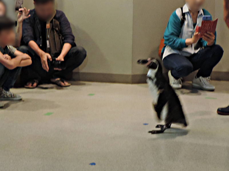 f:id:minato920:20190626073428j:plain