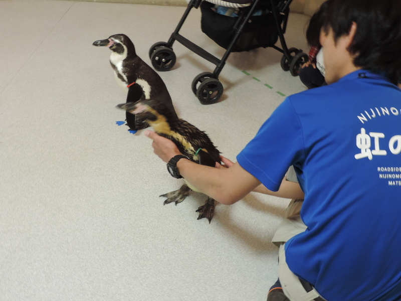 f:id:minato920:20190626073457j:plain