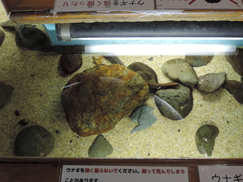 f:id:minato920:20190626073545j:plain