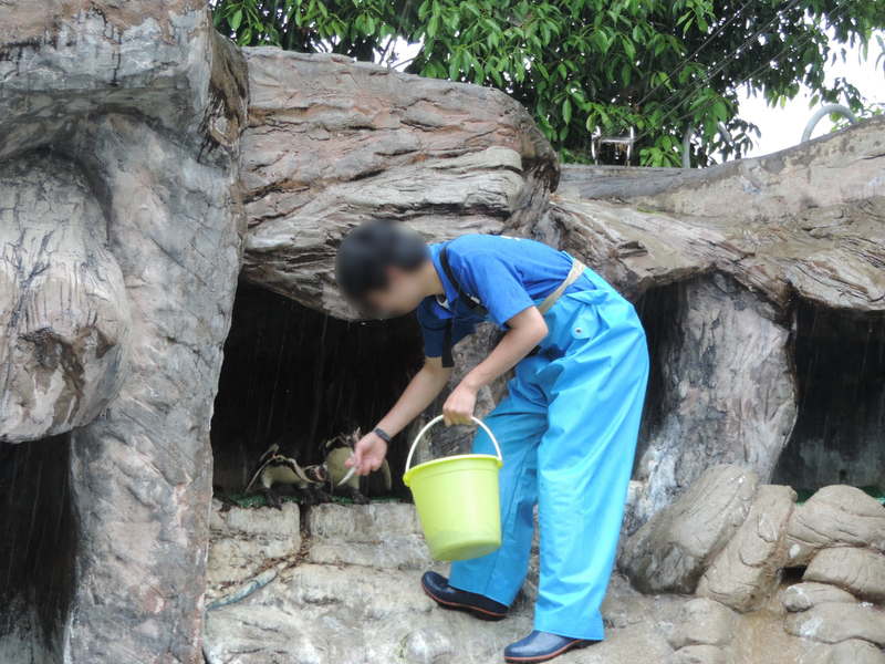 f:id:minato920:20190626073559j:plain