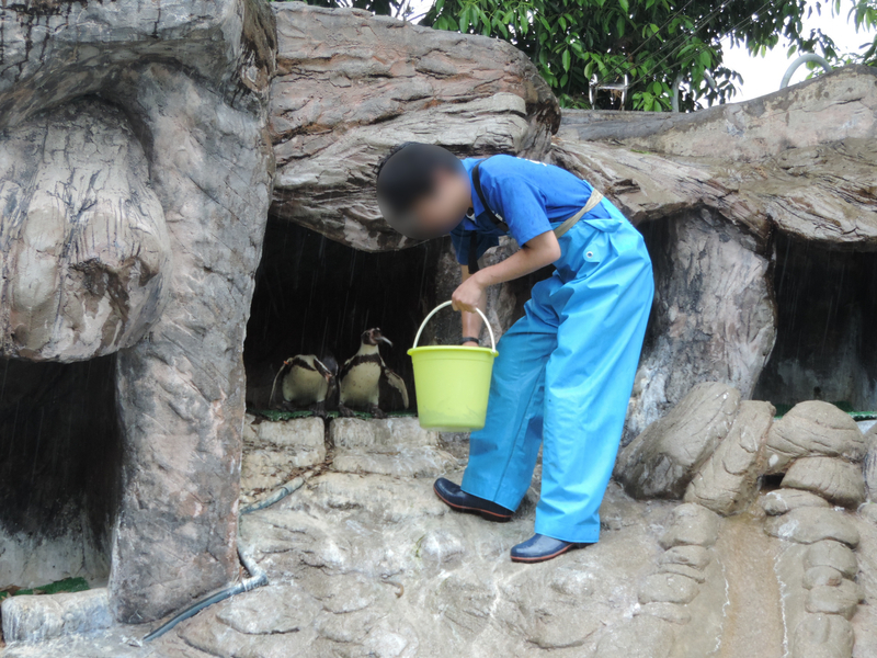 f:id:minato920:20190626073607j:plain