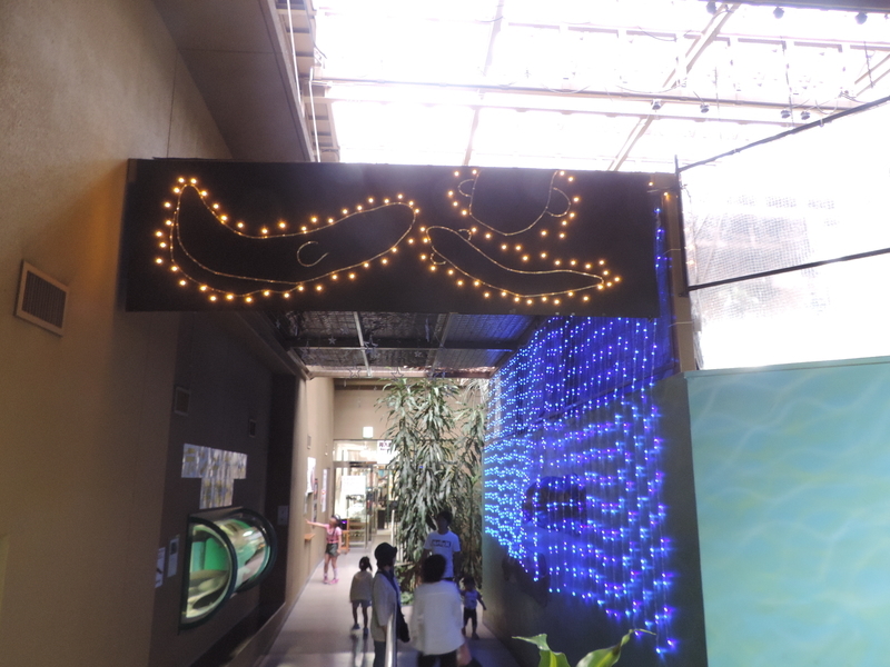 f:id:minato920:20190626073646j:plain