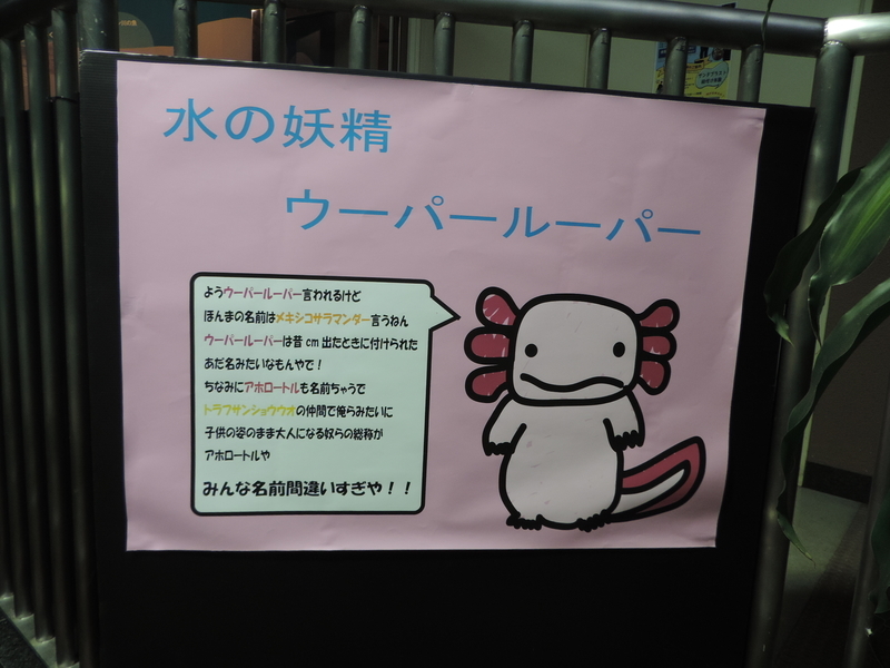 f:id:minato920:20190626073653j:plain