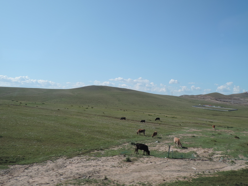 f:id:minato920:20190915181836j:plain