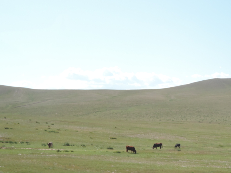 f:id:minato920:20190915181957j:plain