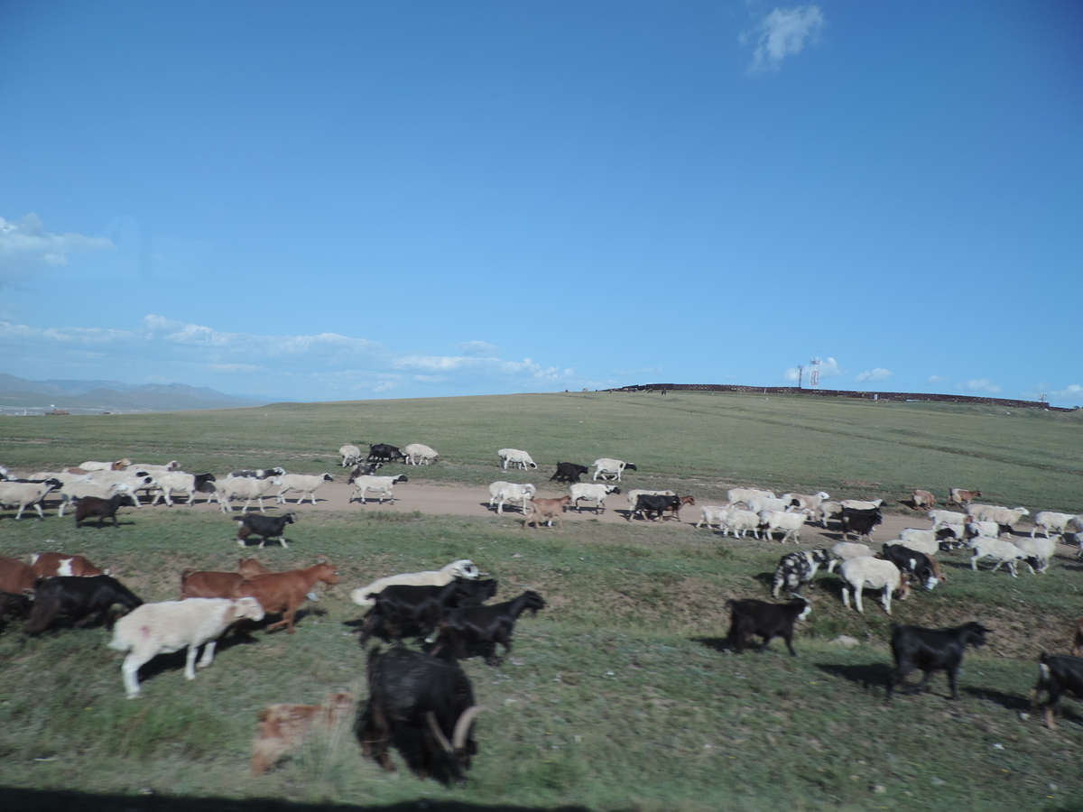 f:id:minato920:20190917232004j:plain