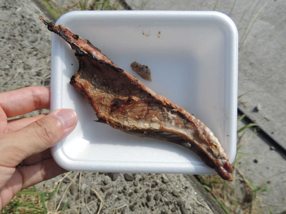 f:id:minato920:20191031071515j:plain