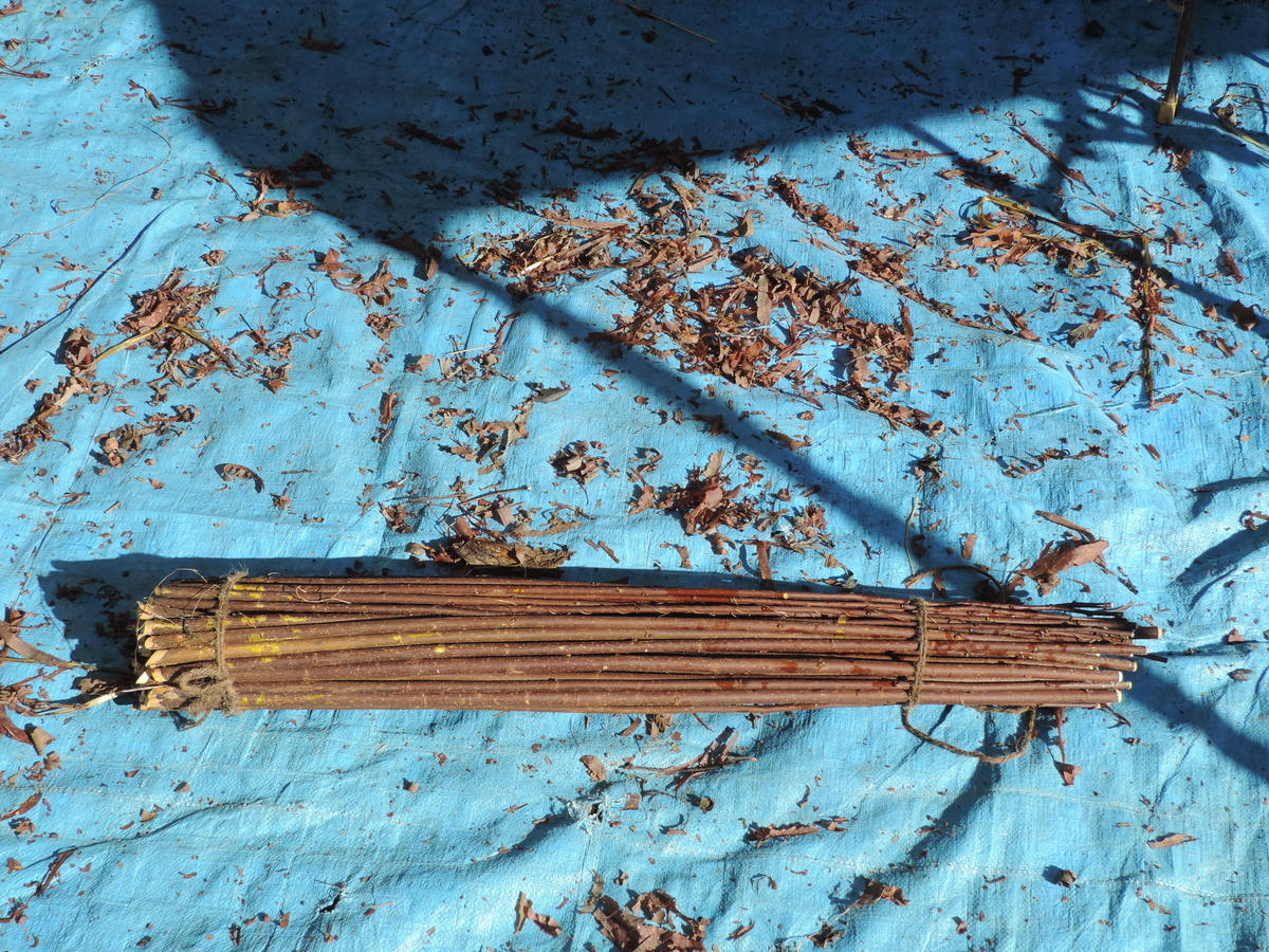 f:id:minato920:20191228080432j:plain