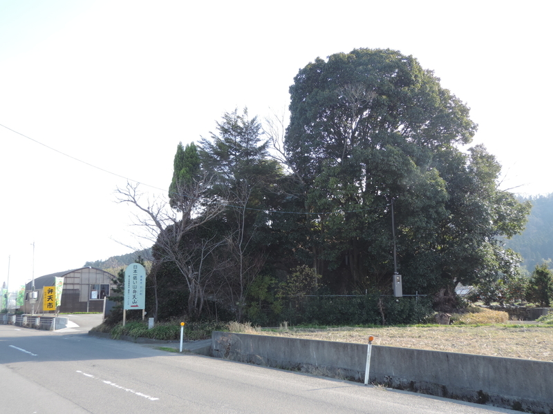 f:id:minato920:20200111173656j:plain