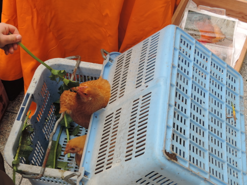 f:id:minato920:20200126152157j:plain f:id:minato920:20200126152157j:plain