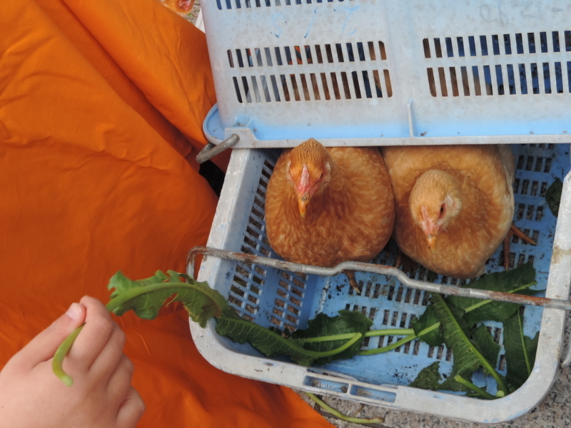 f:id:minato920:20200126152203j:plain f:id:minato920:20200126152203j:plain