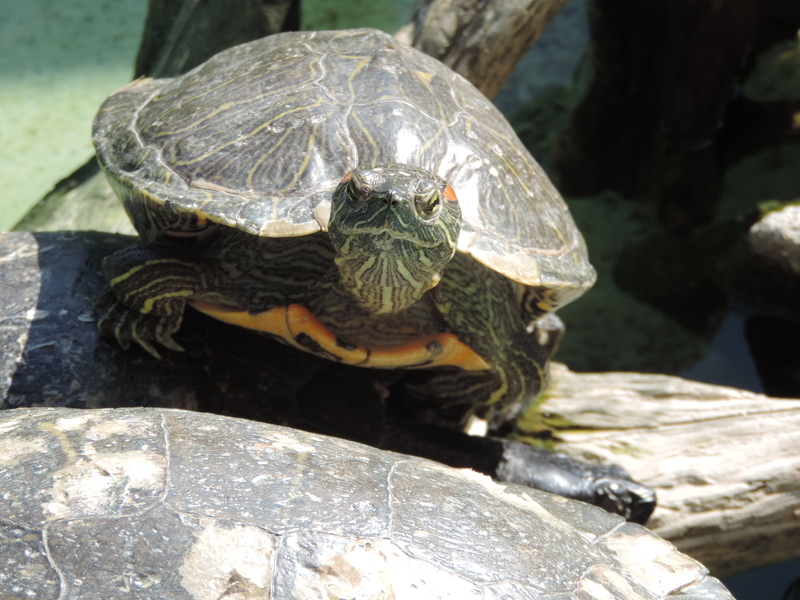 f:id:minato920:20200204192028j:plain