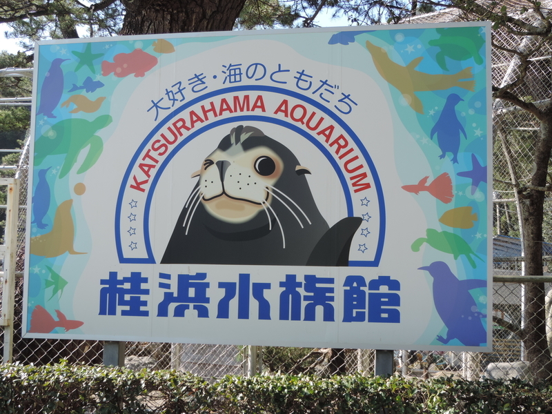 f:id:minato920:20200204192101j:plain